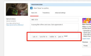 Add Tags to Your Video